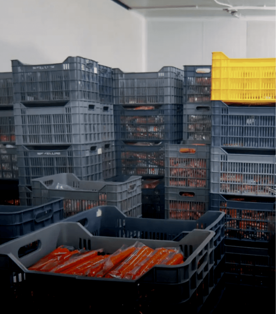 Step-By-Step Workflows